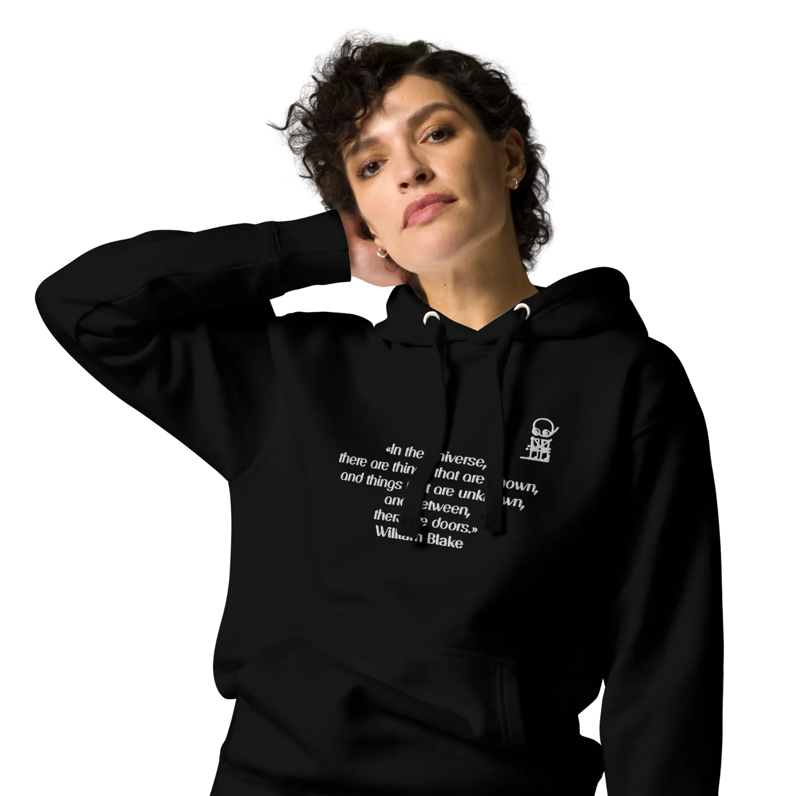 unisex-premium-hoodie-black-zoomed-in-6508e6500940c