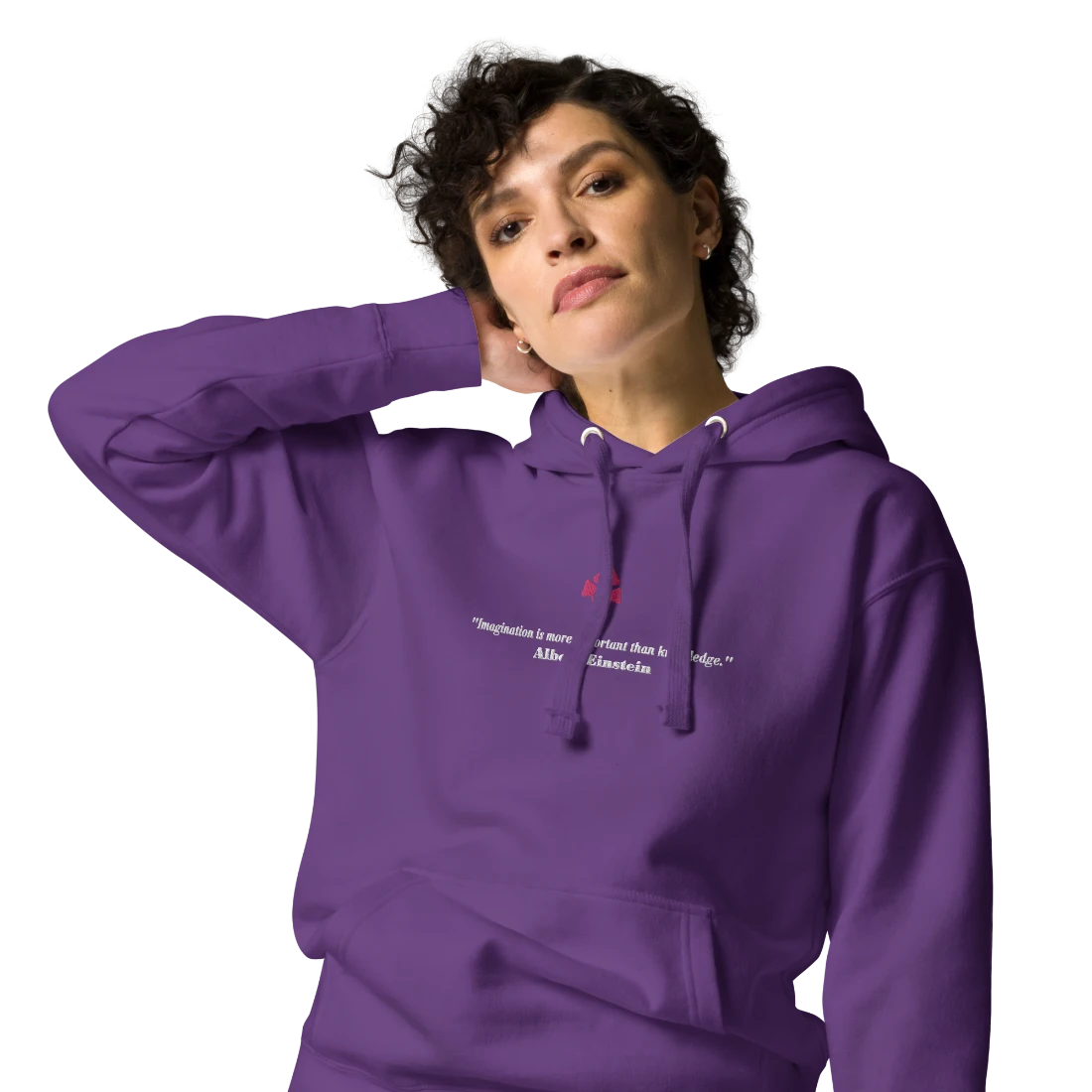 unisex-premium-hoodie-purple-zoomed-in-65f3228aeb5bb