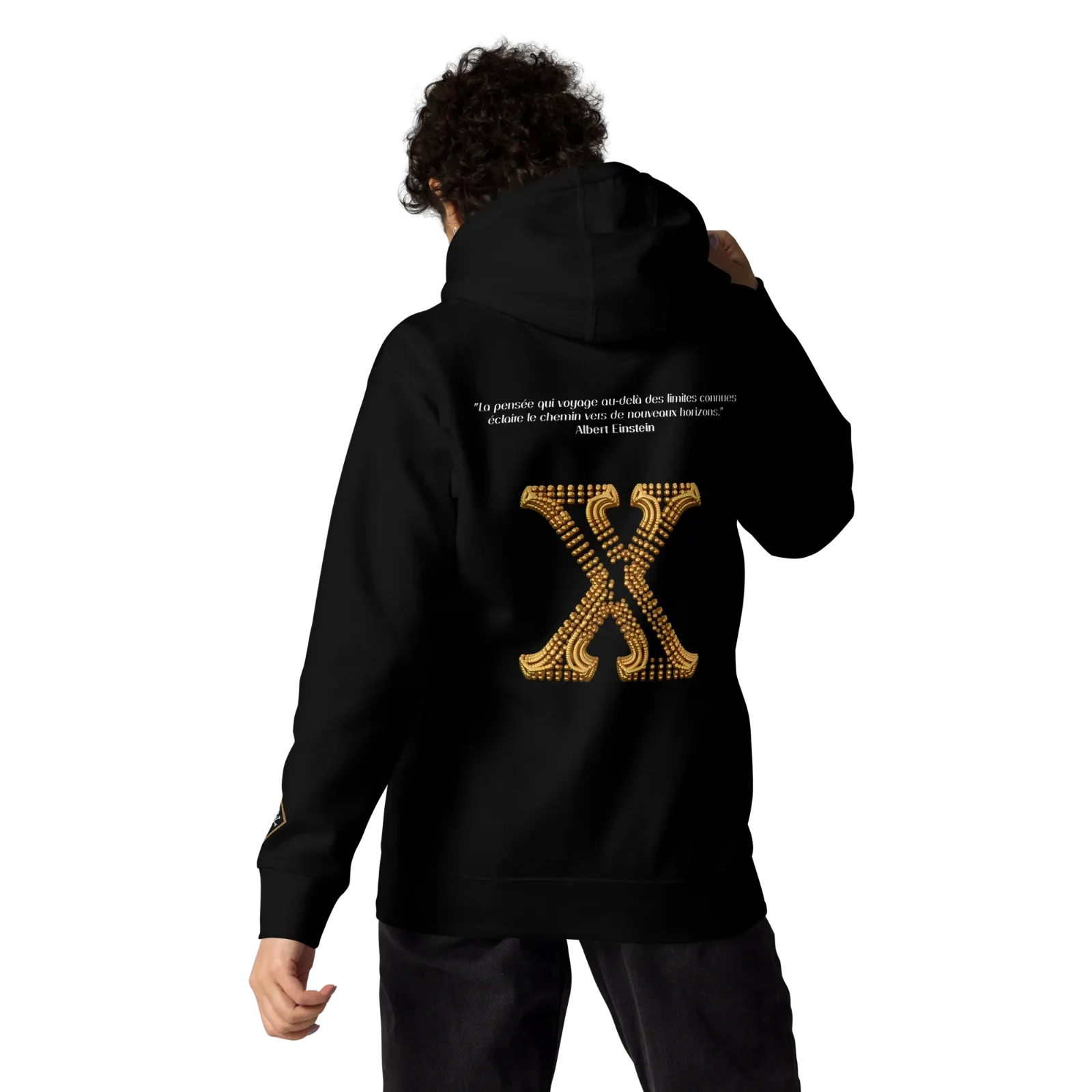 unisex-premium-hoodie-black-back-650e0df36dc7f